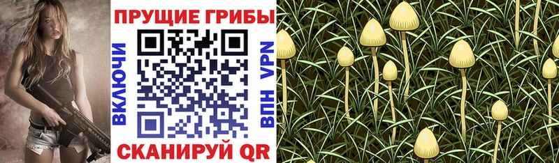 Псилоцибиновые грибы MAGIC MUSHROOMS Липки